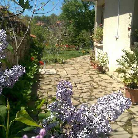 بيت ضيافة Vila Krista 3*