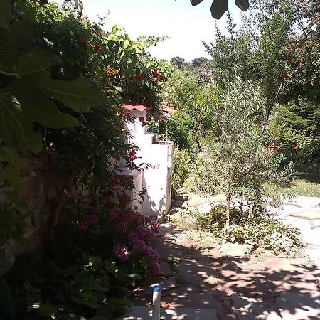 Guest house Krista 3*